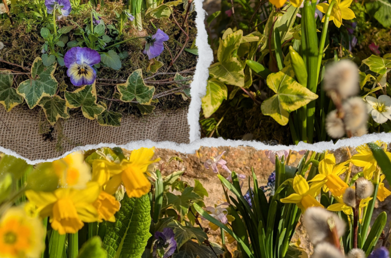 Workshop – Make a living willow wreath
